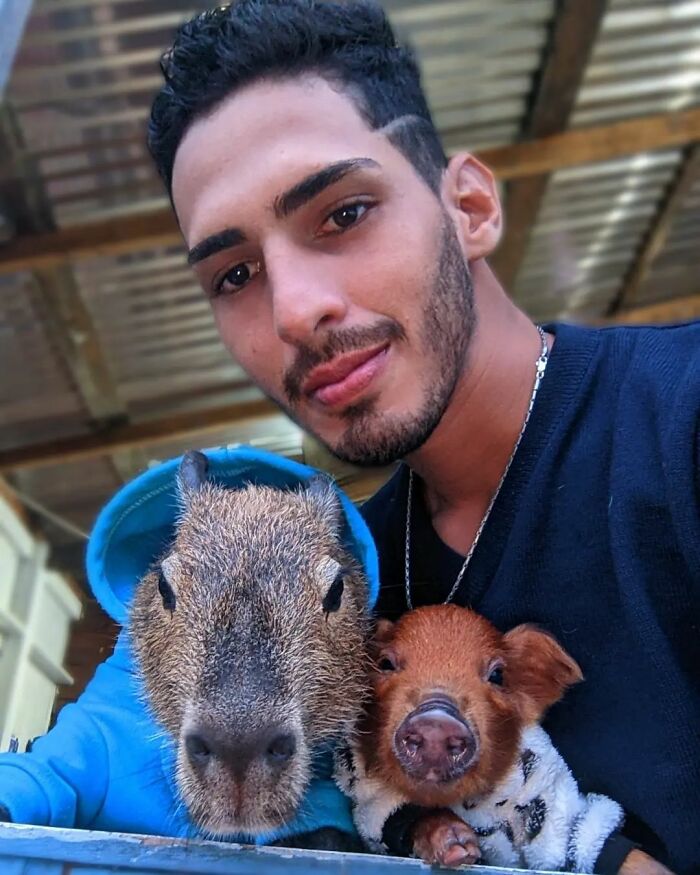 This Man From Brazil Who Lives On A Farm Shares A Beautiful Bond With A Rescued Capybara This Man From Brazil Who Lives On A Farm Shares A Beautiful Bond With A Rescued Capybara