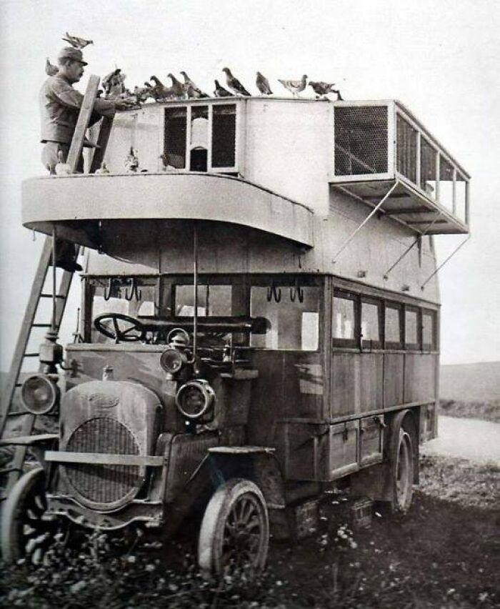 Un “autobús de las palomas” de la Segunda Guerra Mundial servía de punto de encuentro para las palomas mensajeras 