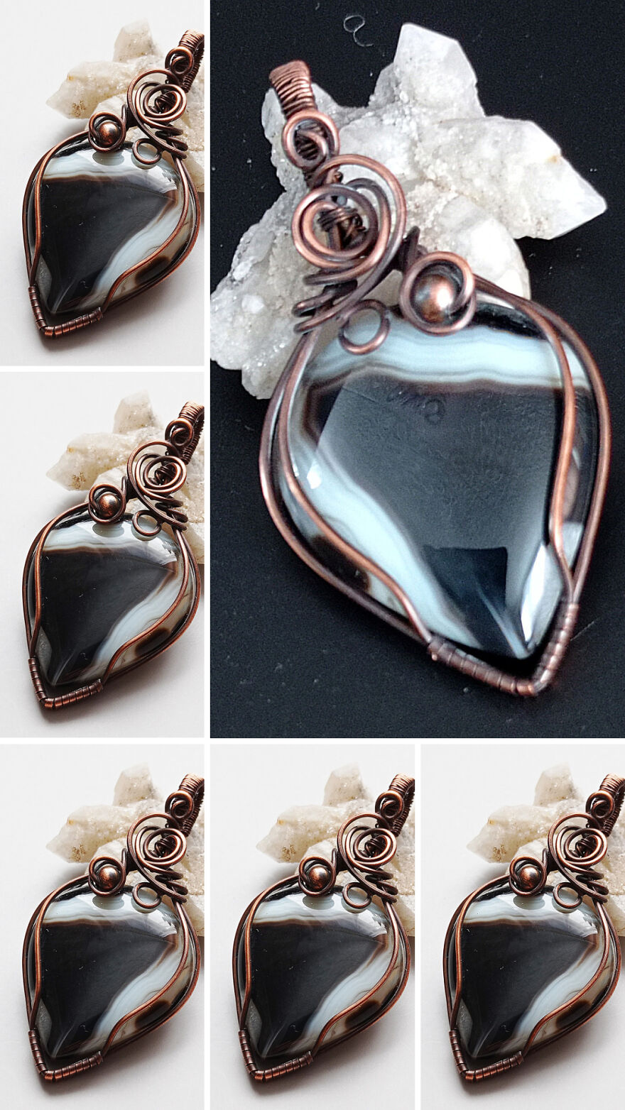 After 24 Hours, I Realized That They Are Alive! After 24 Hours, I Realized That They Are Alive!