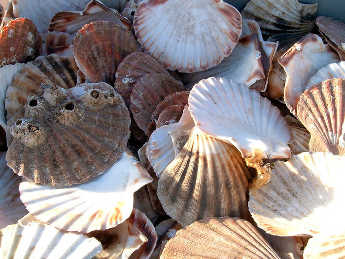 “We Never Saw Him Again”: 30 Incidents, Varying From Ridiculous To Shocking, That Got Teachers Sacked