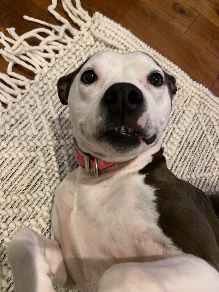 Jewell Being Adorable