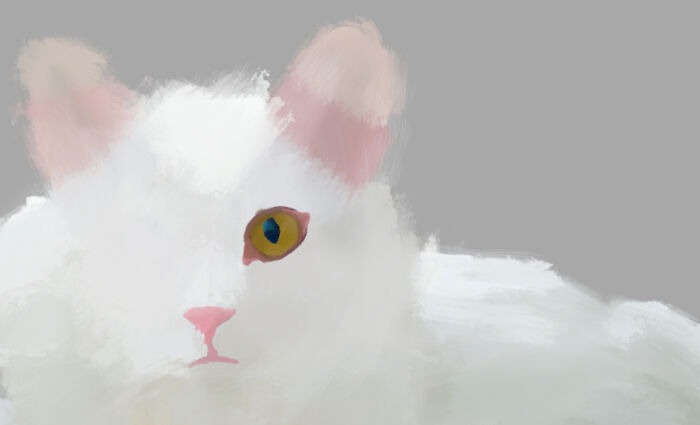 My Art But Not My Cat