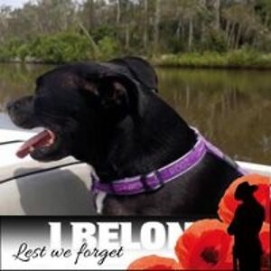 kiwi_girl1974 avatar