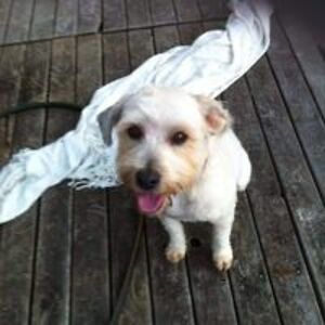 karen_loftus123 avatar