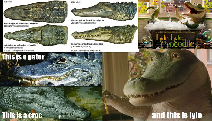 Ok So Uuhh... Can We Talk About How Lyle The Crocodile Isn't A Crocodile?
