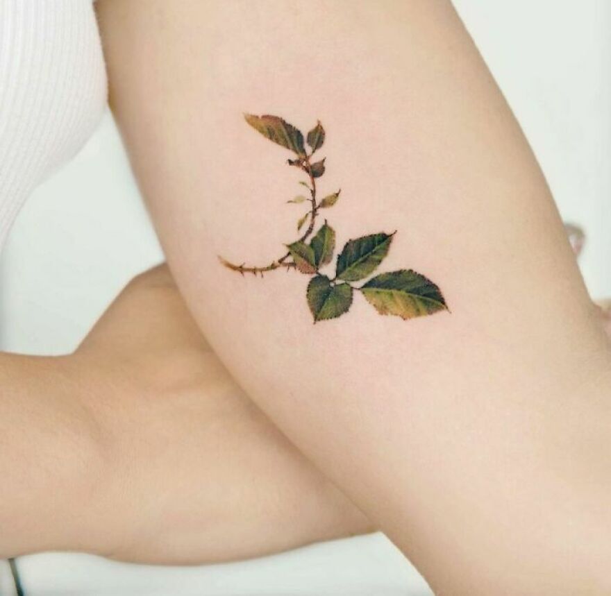 Rose leaves watercolor tattoo on the arm