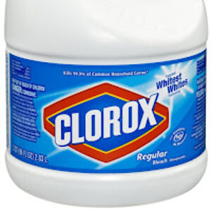 thesqadestsqadofsqadnes avatar