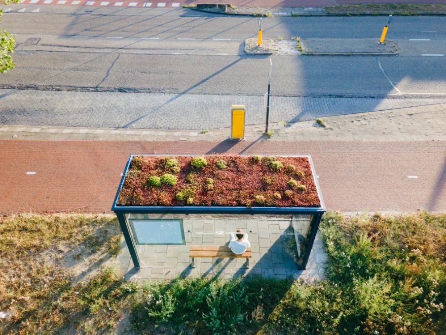 "Bee-Friendly Busstop" By Shamira Van Veenendaal, 2022