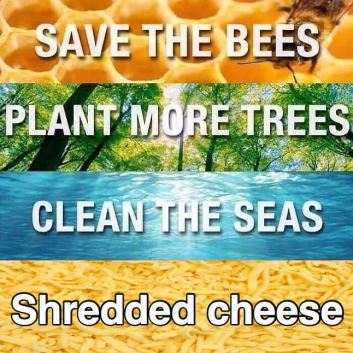 Cheese The Environment