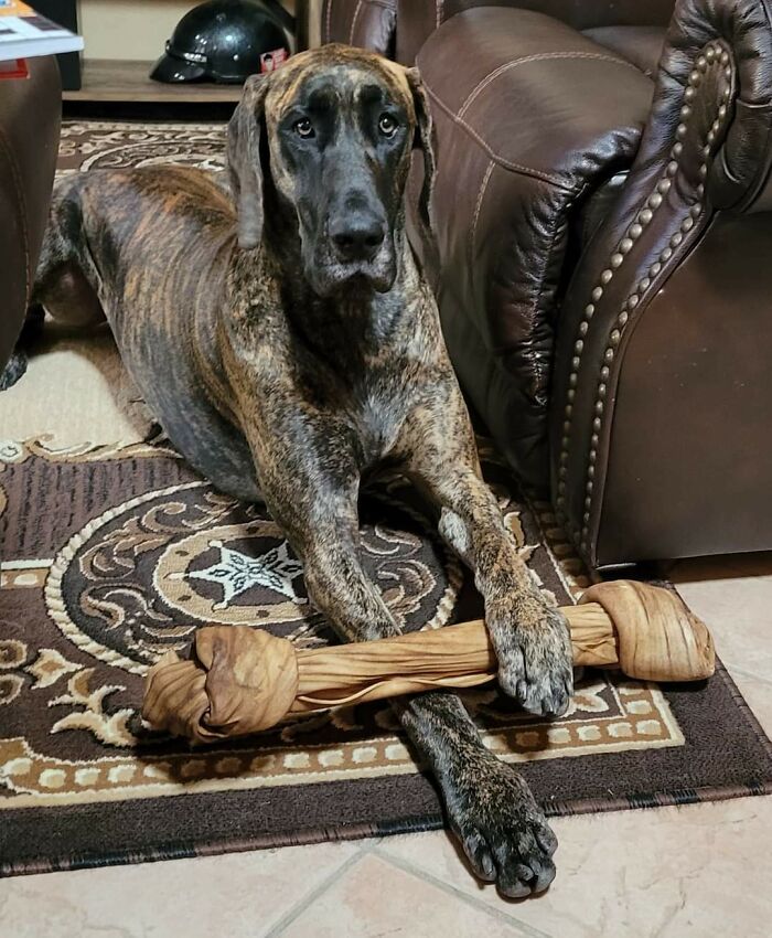 Somebody Made It To Santa's Nice List