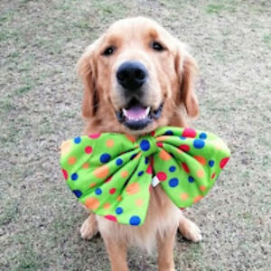 2025pabloborreroduran avatar