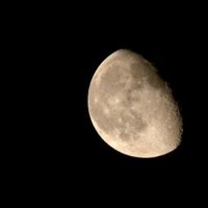 armanilovesbugs avatar