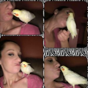 ericarichardson avatar