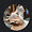 moonbeam121 avatar