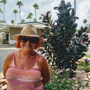 jackiestaubyn avatar