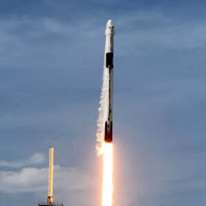 yahyaghazzahammar avatar