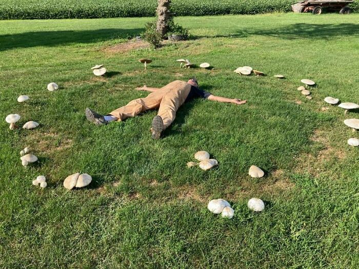 My Dad Sent Me This Pic Of Him Hanging Out In A Fairy Ring, Thought You All Would Enjoy