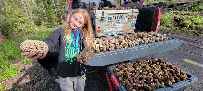 My Son Is Still Picking Tons Of Morels And Still Gets Emotional Finding The Giants! Just To Update Everyone! Enjoy Reading The Dumbass Comments Though Hahaha Pic Is From Spring 2022