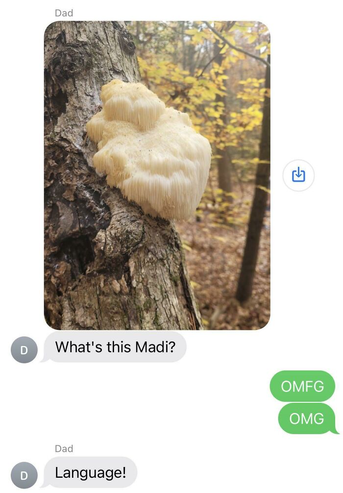 My Dad Casually Sent Me This Text Today