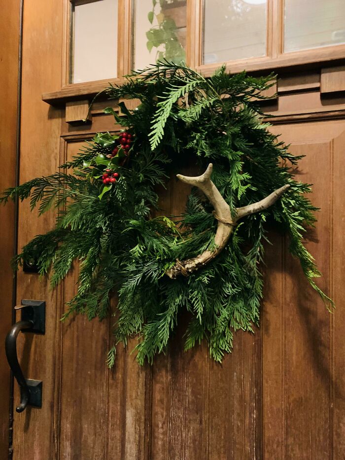 A Different Take On Foraging. The Tree Farm Wanted $60 For A Wreath. I Lashed Some Holly And A Found Deer Antler To Some Cedar Boughs Instead
