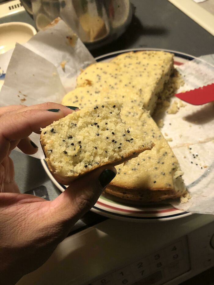 I Foraged Some Lemons And Barrel Cactus Seeds And Made Some Cake 🍰