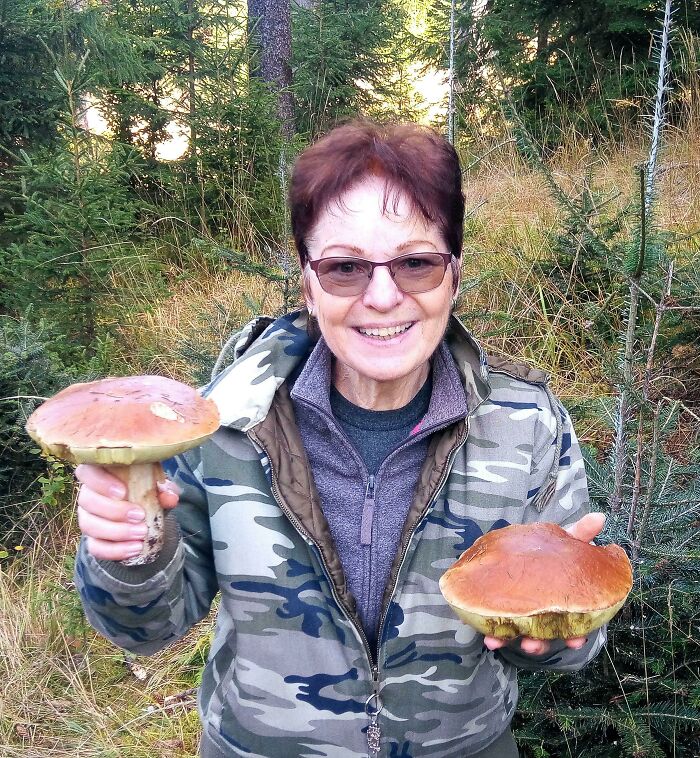 Large Boletus In The White Mountains 🤩