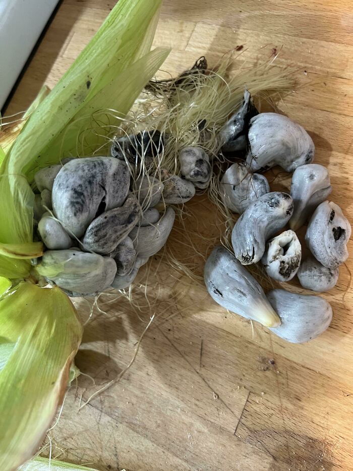 Went To The Pumpkin Patch Today And Couldn’t Pass These Up In The Corn Field! 🍄
