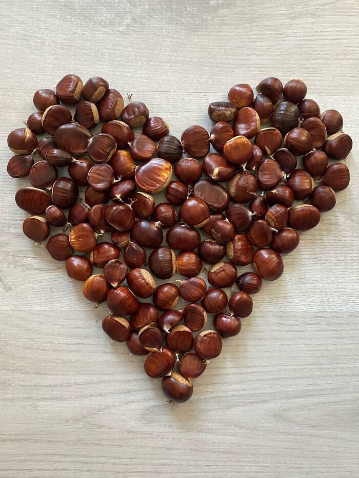 I Collected Sweet Chestnuts 🤎