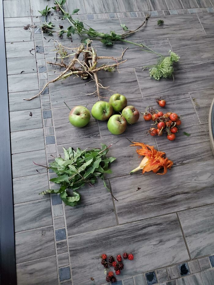 My First Time Foraging. Found Crab Apples, Rose Hip, Some Kind Of Berry Which I Will Research, A Lily, Wild Carrots And Dandelion Leaves