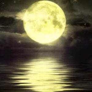 stewartellard avatar