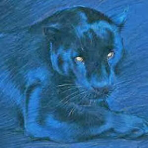 soniaholloway avatar