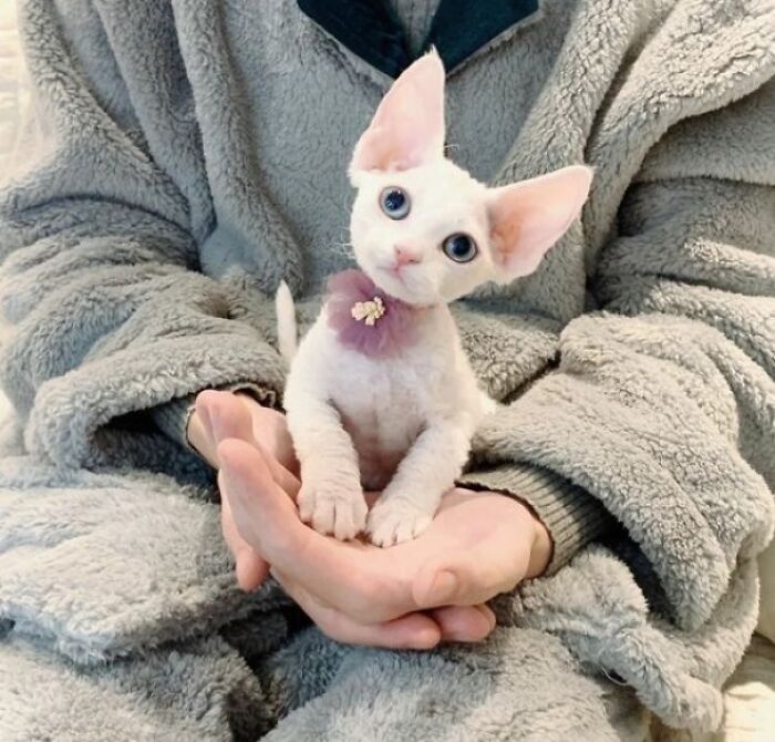 It's Dangerous To Go Alone! Take This