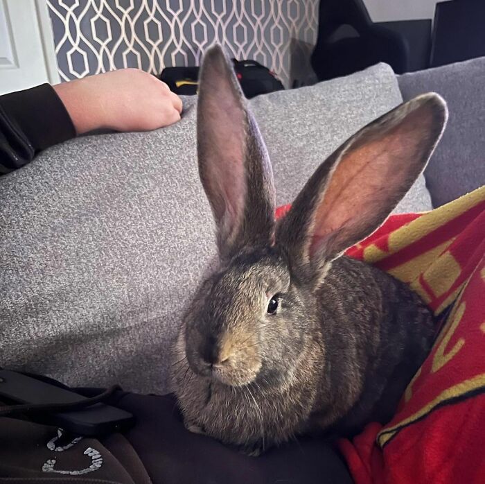 Snuggles With Our Beautiful Baby Henry