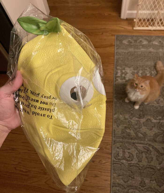 Bought A Giant Realistic Cat Mask Off Amazon To Try To Scare My Cat With And They Sent Me A Lemon Mask