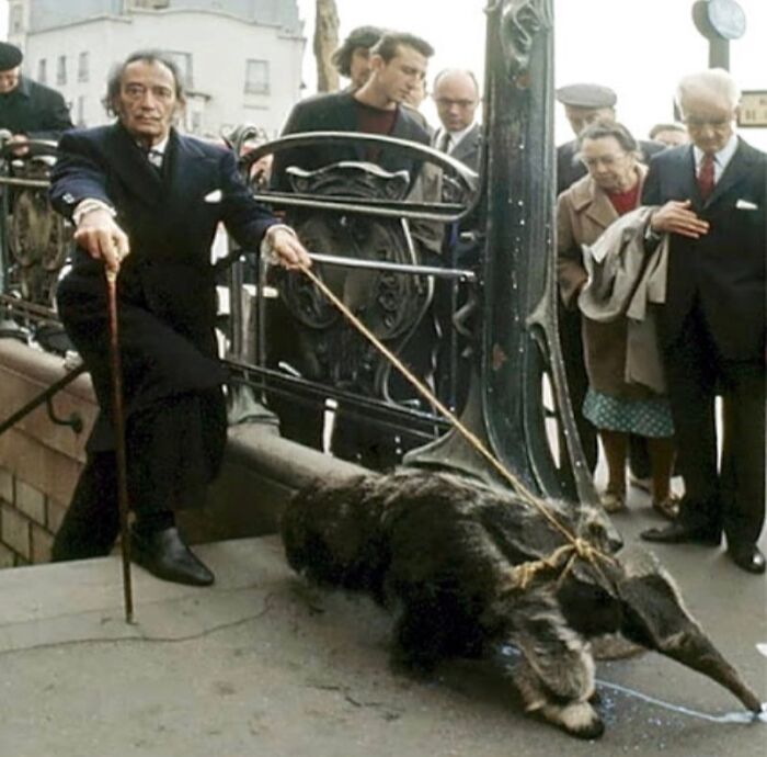 Salvador Dalí y su oso hormiguero saliendo del metro de París, 1969