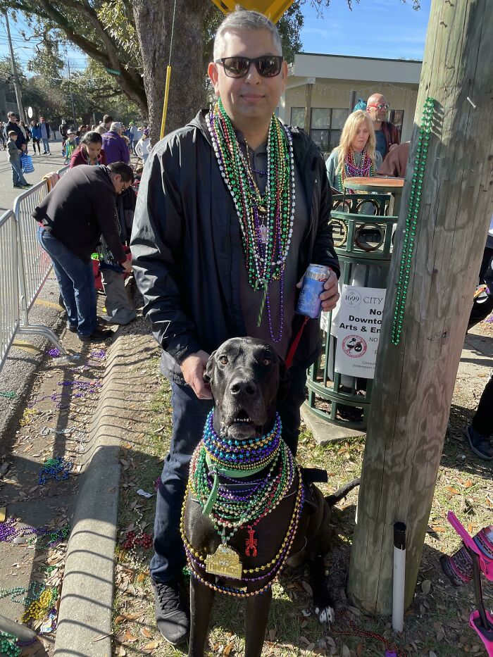 My Dane, Thanos, Cleaned Up At The First Mardi Gras Parade