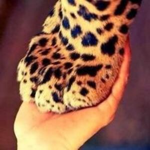 agustin-rafael avatar