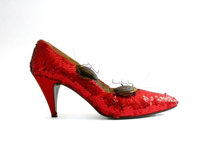 Cockroach Shoe Clips