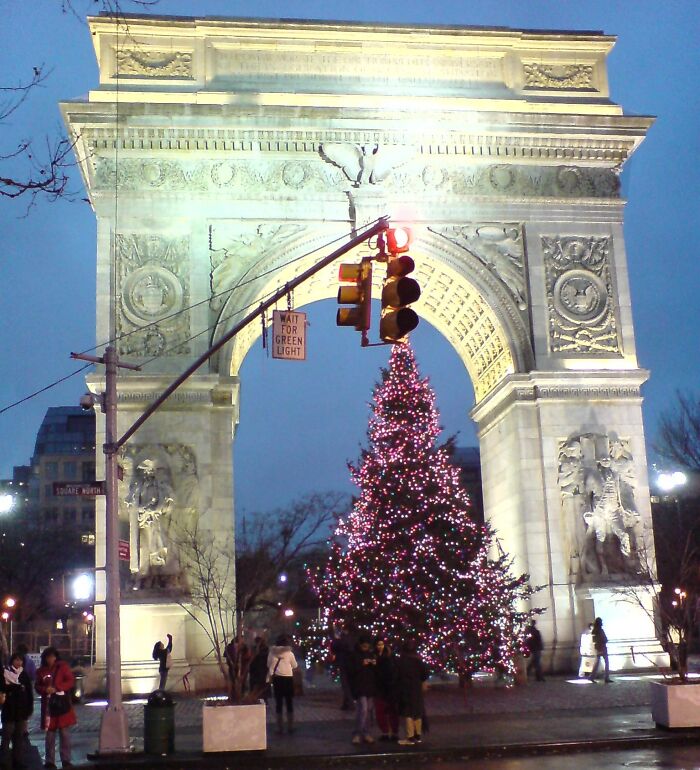 Christmas tree in a Washington square 