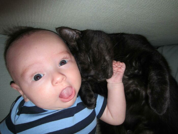 A Baby And A Cat. That Is All