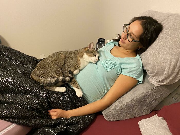 Cat Snugging My Wife’s Pregnant Belly. He Was Rubbing His Face On Her Belly All Evening. (Went To The Doctor Today, The Baby Could Arrive Any Day Now)