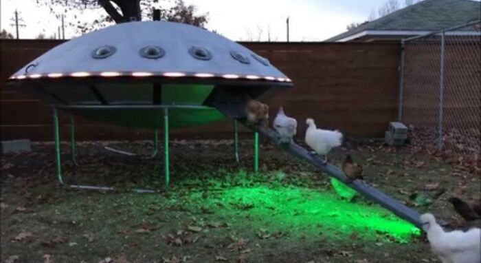 This UFO Chicken Coop