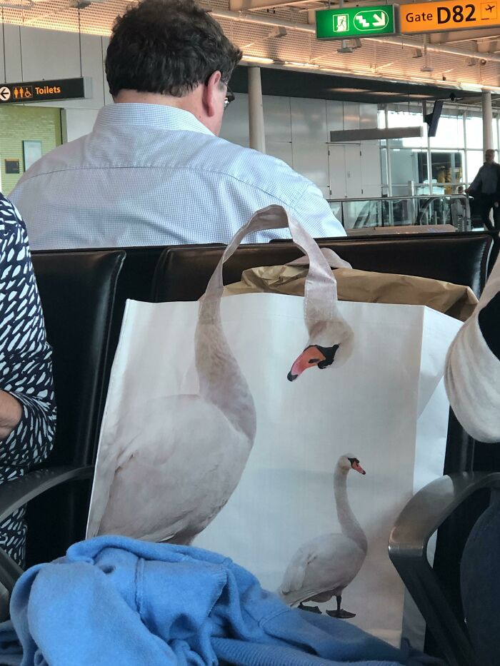 This Handbag