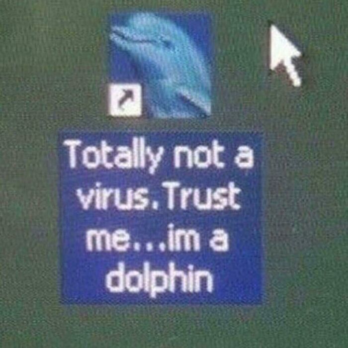 Humans. I Have Aquired A New Pet Dolphin. It Seems Sick. Help