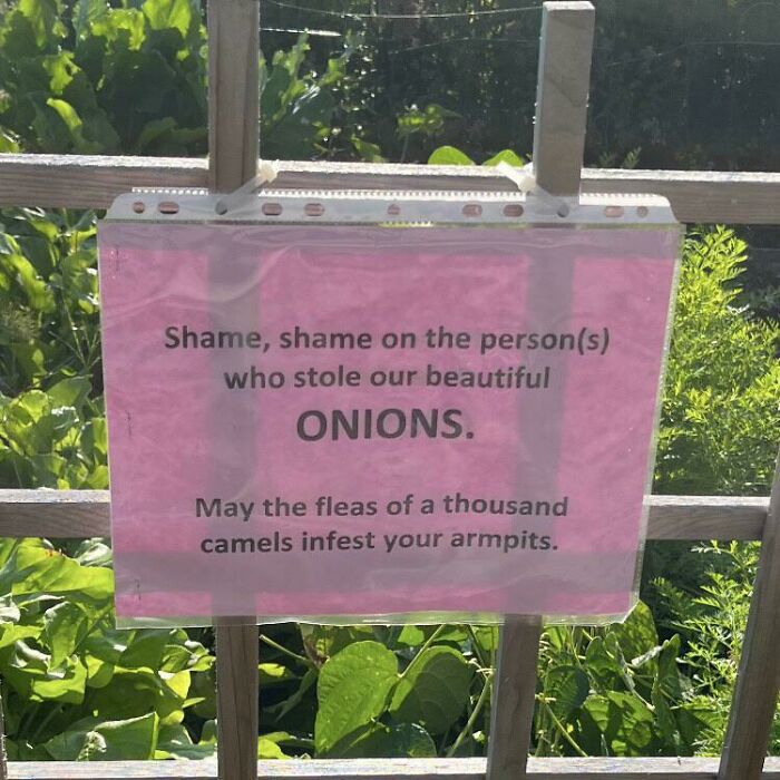 Spotted This Sign At My Local Community Garden