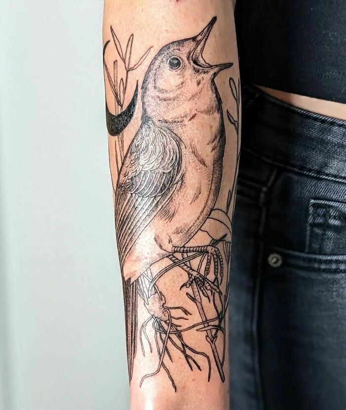 Nightingale and branch hand tattoo 