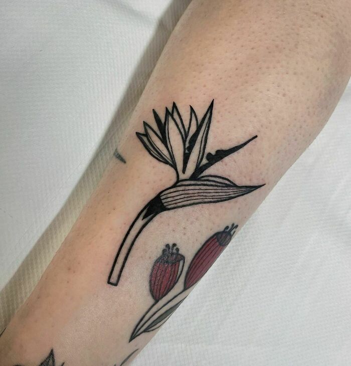 Nature tattoo featuring a black and white bird of paradise flower on the forearm.