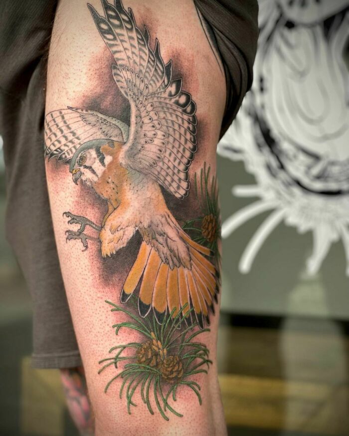 Wild nature tattoo of a bird in flight with pine branches on a person's arm.