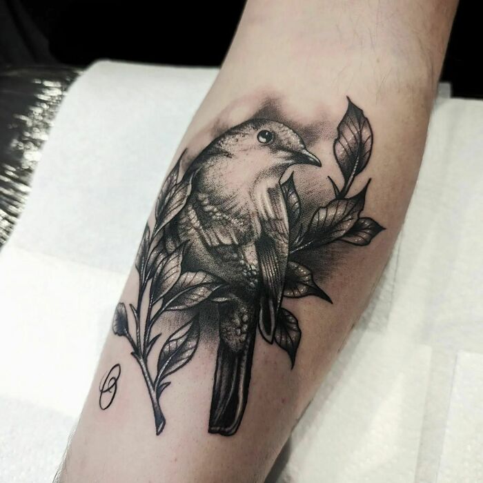 Stippled Realism Bird Tattoo