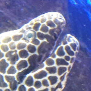 richellezeitler avatar